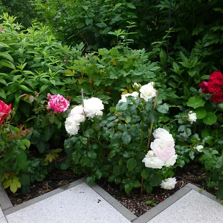 Ostsee Ferienapartments