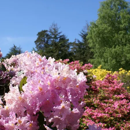 Ostsee Ferienapartments アパート *