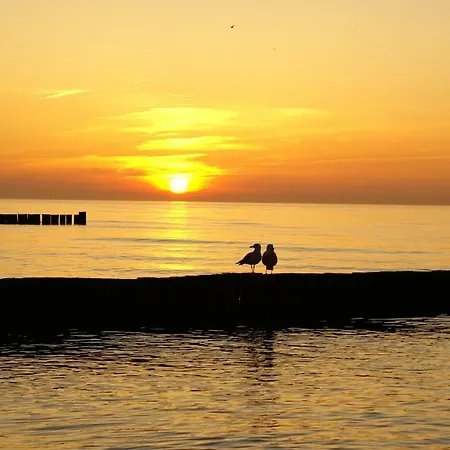 Ostsee Ferienapartments Lejlighed Graal-Mueritz
