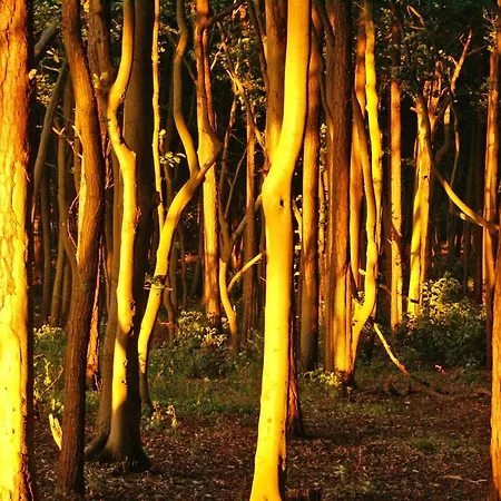 Ostsee Ferienapartments アパート *