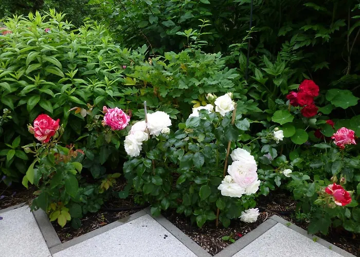 Ostsee Ferienapartments