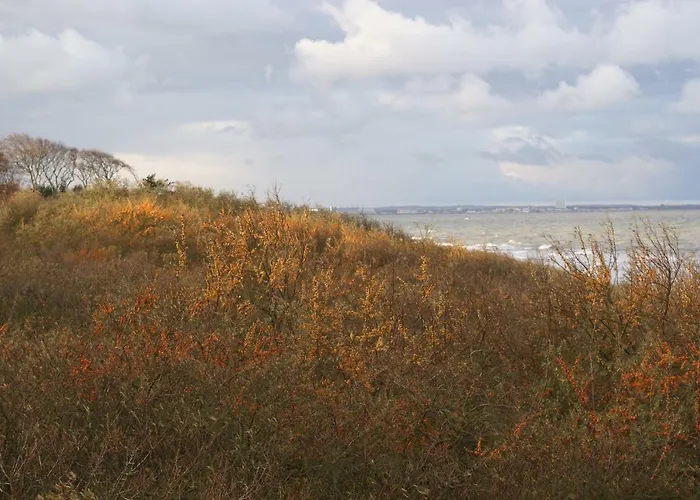 公寓 Ostsee Ferienapartments *