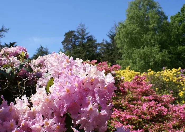 Ostsee Ferienapartments Lägenhet *