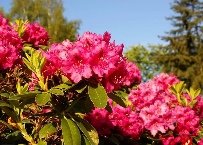 Ostsee Ferienapartments *