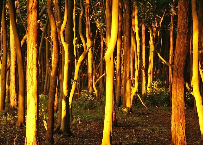 Ostsee Ferienapartments 公寓 *